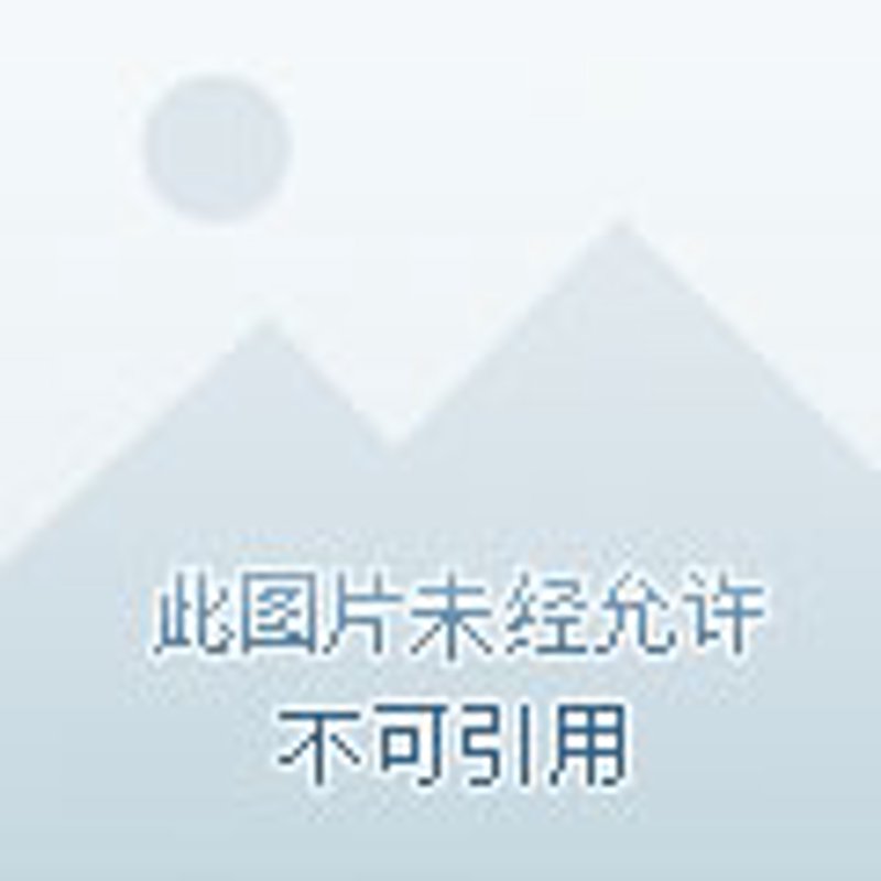 如何有效利用芦山便民信息网
